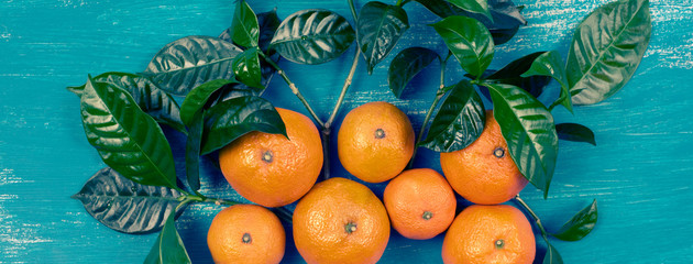 Banner Ripe tangerines with green leaves on a bright blue background Top view flat lay copy space