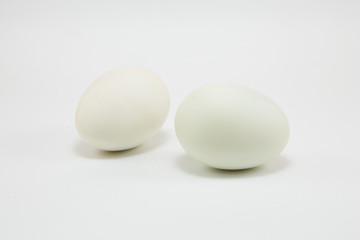 Fresh white eggs