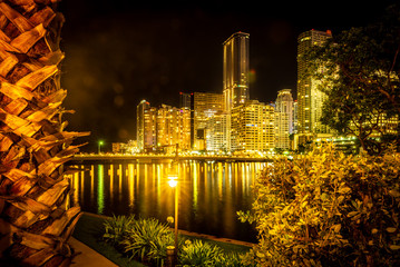 The night view of Miami downtown buildings