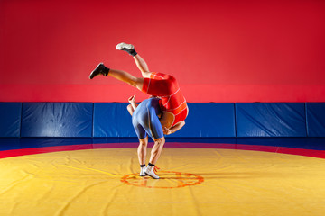 The concept of fair wrestling. Two young men in blue and red wrestling tights are wrestlng and making a suplex wrestling on a yellow wrestling carpet in the gym