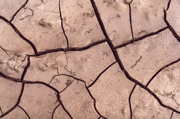 background dry cracked ground background, clay texture