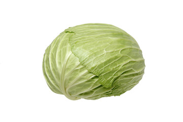 キャベツ 白バック