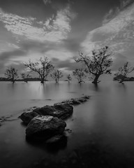 BlackWhite Photos at batam island indonesia