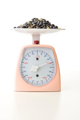 Scale isolated on white background