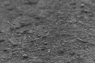 Macro background of ice