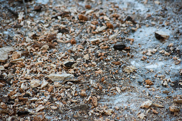 Sawdust on an ice road