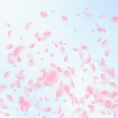 Sakura petals falling down. Romantic pink flowers 