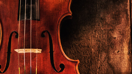 violin side crop on wood with copy space