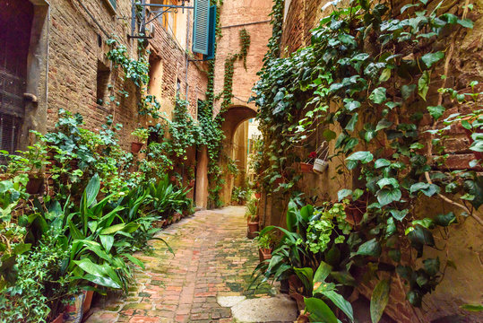 Fototapeta Medieval narrow street Vicolo degli Orefici in Siena, Tuscany, Italy.