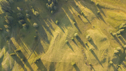 A drone vertical perspective of the meadows at high altitudes, forming soft hills. Dolomites, Alta Badia, Sud Tirol, Italy