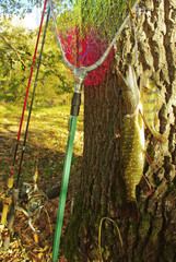 Pike, perch, fishing landing net, spinning