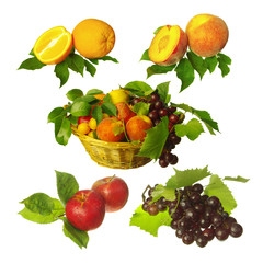 Fruit basket. Grapes, peaches, plums, nuts. Isolated on white