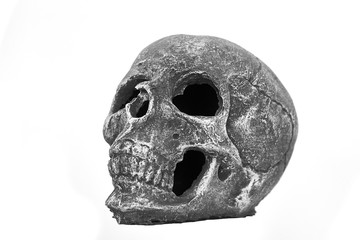 Skull and white background