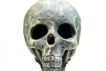 Skull and white background