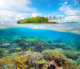 Fototapeta na wymiar Coral reef with colorful fishes on background of small island in Malaysia.
