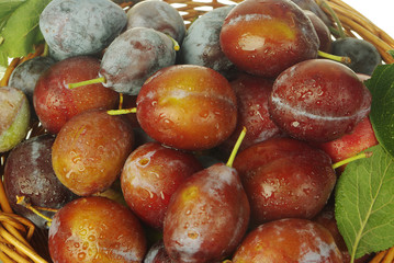 Plums in the basket. 