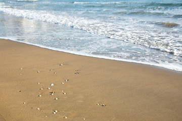  sea ​​beach sand