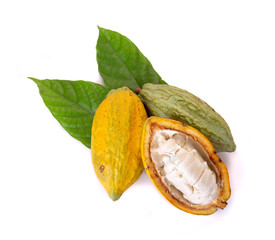Various of Fresh cocoa fruits with half sliced and green leaf isolated on white background