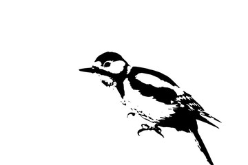 abstract black and white drawing of a great spotted woodpecker