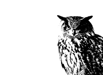 abstract black and white drawing of a eagle owl