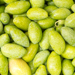 uncooked raw olives closeup, natural green background