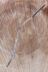 Abstrakte braune Holzstruktur im Hochformat