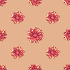 Seamless pattern with orange daisy flowers on creamy background