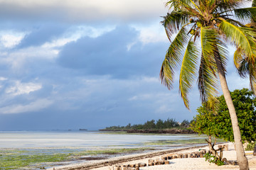 Spiagge di villaggi  in Kenya