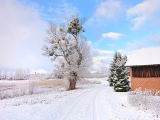 Śnieżna zima w Polsce (warmińsko - mazurskie)
