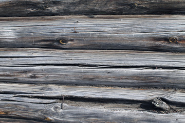 The old wood texture with natural patterns. Inside the tree background. Old grungy and weathered grey wooden wall planks texture background