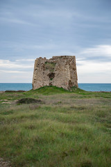 Torre sul mare