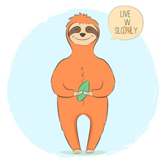 sloth with leaf
