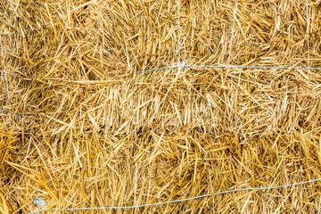 Texture of the dry hay for the background