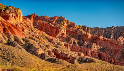 Fototapeta premium OLYMPUS DIGITAL CAMERA