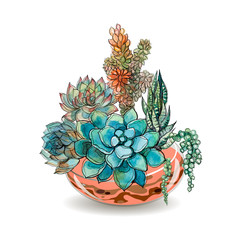 Succulents in glass aquariums. Colored sand. Flower decorative compositions. Graphics. Watercolor Vector
