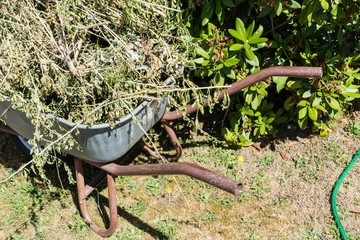 Gartenabfälle Schubkarre