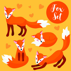 Cute and colorful fox set on orange background vector illustration flat desing