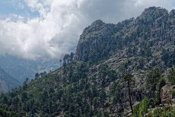 Wąwóz Restonica, Korsyka © Miroslaw