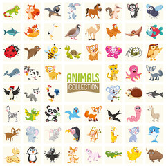 Vector Illustration Of Cartoon Animals Collection © yusufdemirci
