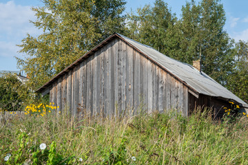 Old wooden house among the grass