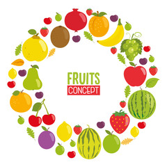 Vector Illustration Of Fruits Concept Design
