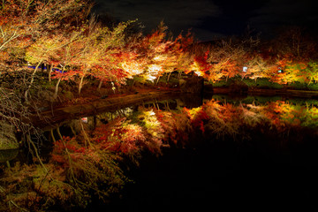 Maple Japan Autumn parks name 