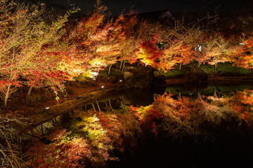 Maple Japan Autumn parks name 