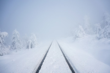 Railroad into a snow covered forest