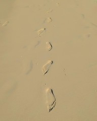 Footprints in the sand