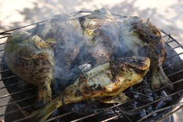 Grillade de Dorades