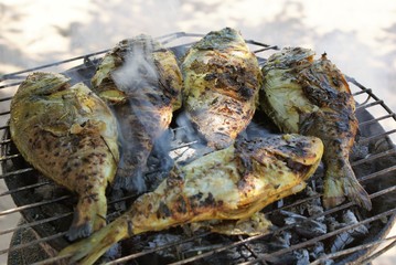 Grillade de Dorades