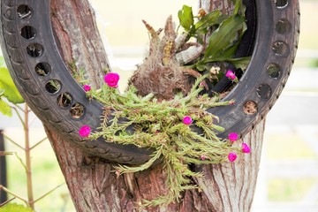 Flores ornamentais em pneus