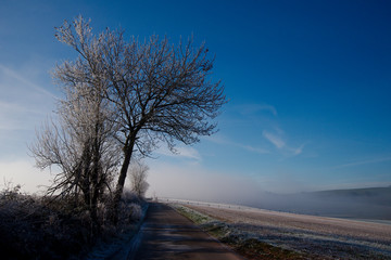 Wintermorgen03
