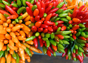 Small peppers are red, green and yellow.